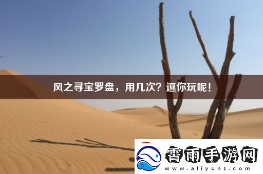 风之寻宝罗盘-用几次-逗你玩呢！