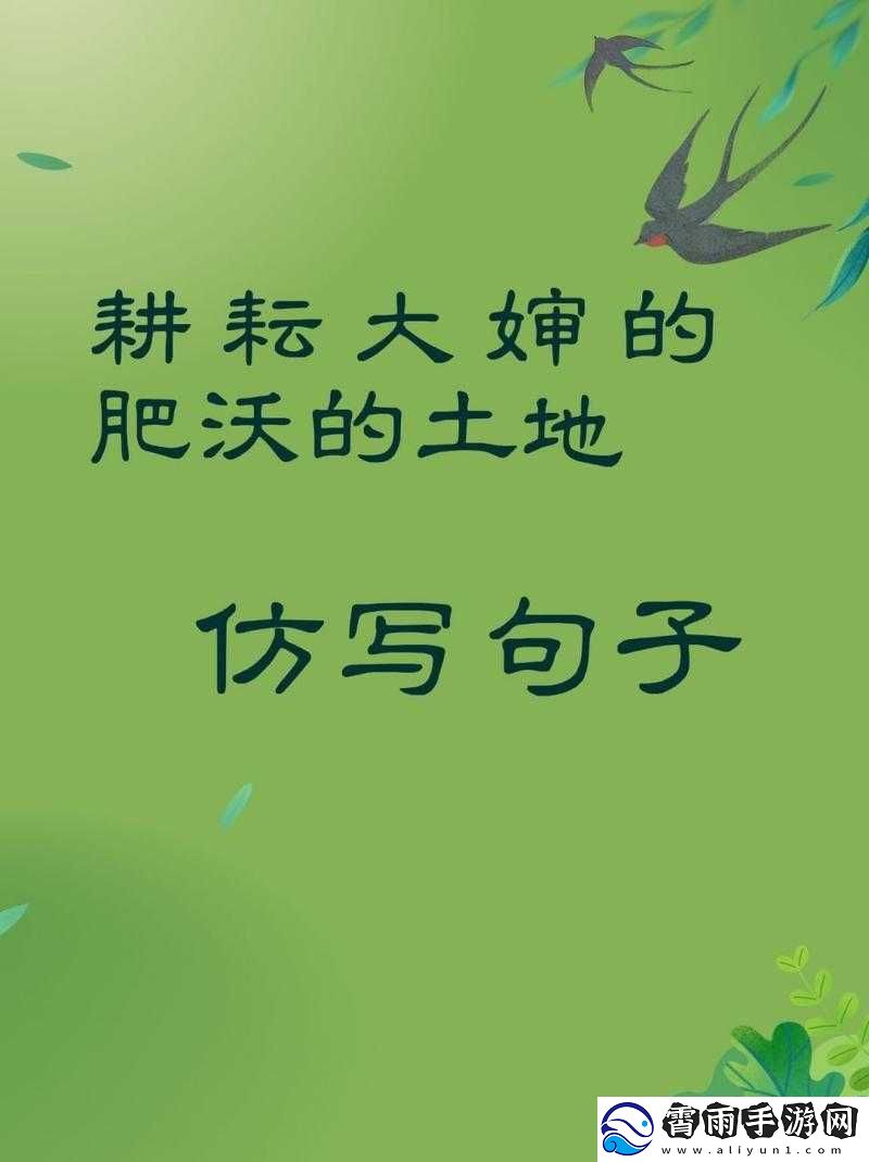 耕耘大婶的肥沃土地：收获的希望之田