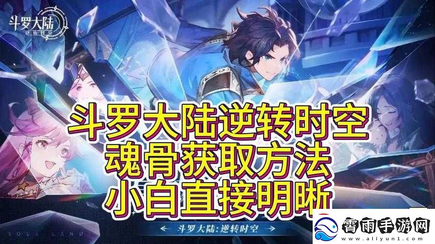 斗罗大陆魂骨搭配技巧