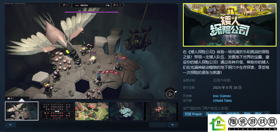 矮人探险公司游戏steam价格介绍
