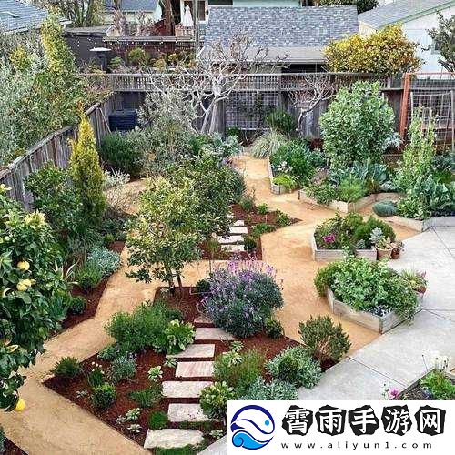 小花园想夹东西怎么办