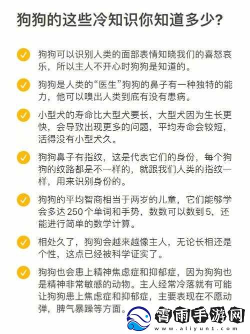 人狗胶配方大全狗狗相关内容全知晓