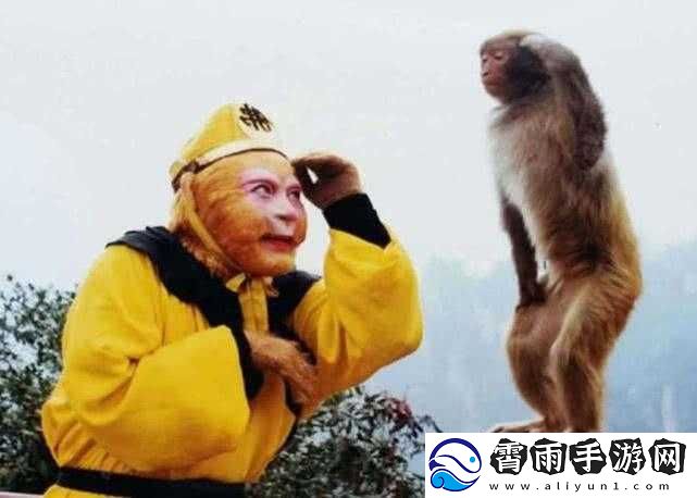 二人生猴子免费观看