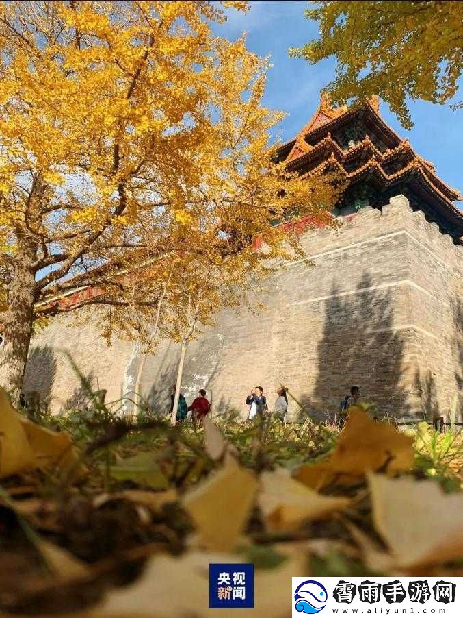 亭亭玉立、国色天香的九月天-惊艳来袭：XXXX