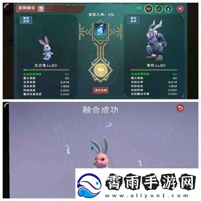 创造与魔法疯疯兔进阶所需资质