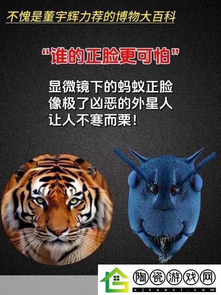 六年磨一剑