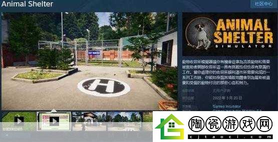 萌宠迷踪新篇章！收容所里满是猫Steam版2025年温馨启程