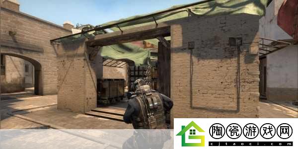 日本CSGO大姐姐AWP价格是多少