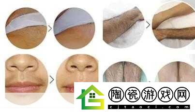 俄罗斯浓毛BBX