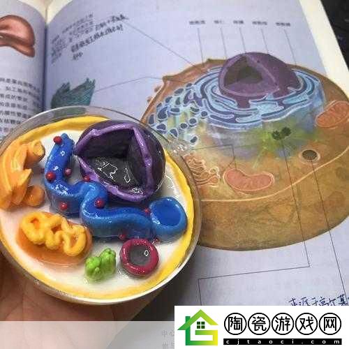 我成了生物课的教具篇1关键词