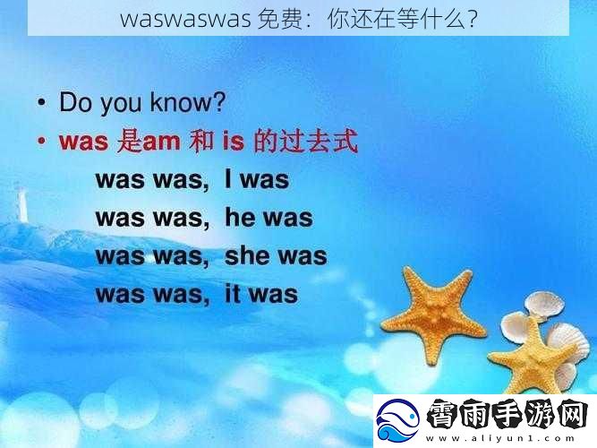 waswaswas 免费：你还在等什么？