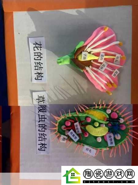 我成了生物课的教具篇1关键词