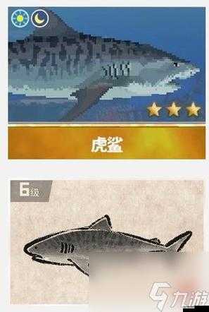 潜水员戴夫遭遇虎鲨攻击应对方法介绍