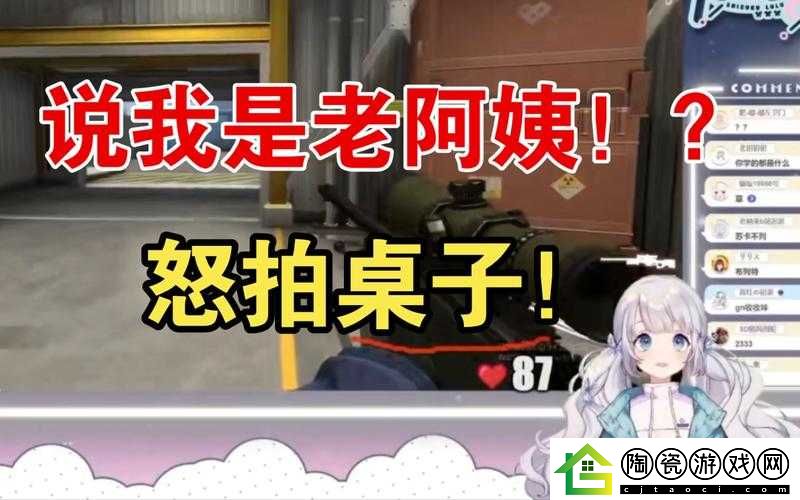 暴躁老阿姨