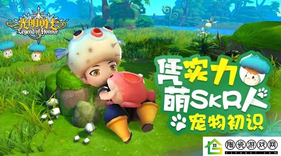 光明勇士随机金宠怎么获得