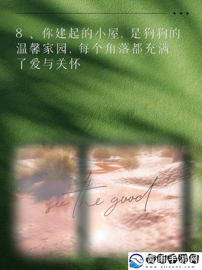 探寻-y1uan-大家庭的温暖与包容：爱与关怀的家园