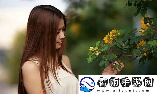 今天晚上你弄了几个小雨伞：生活中的小细节与情感故事，感受温暖与陪伴的力量！