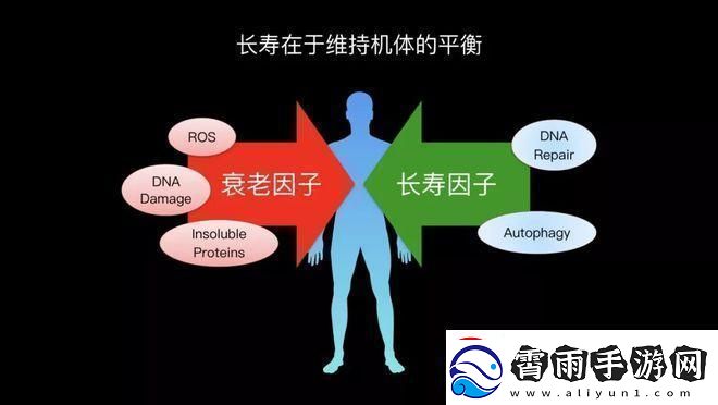 嘘！人类DNA与驴子DNA的神秘纠缠