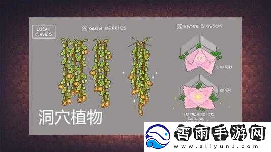 我的世界中藤蔓的多种用途详细介绍与全面分析