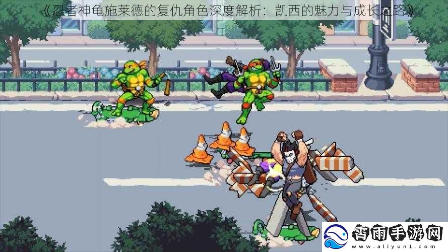 忍者神龟施莱德的复仇角色深度解析：凯西的魅力与成长之路