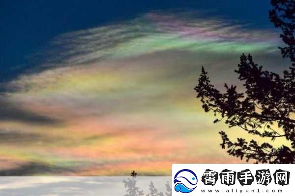 手游奇闻地震前夕神秘蓝光与鸟类异象交织的奇幻预兆！