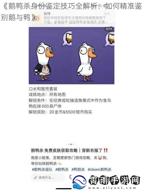 鹅鸭杀身份鉴定技巧全解析