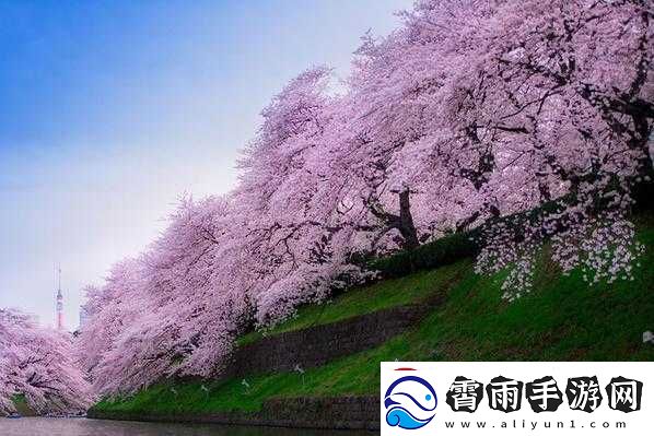 樱花影视.m3.u8