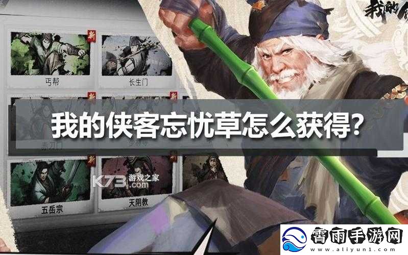 揭秘忘忧草的侠客之道