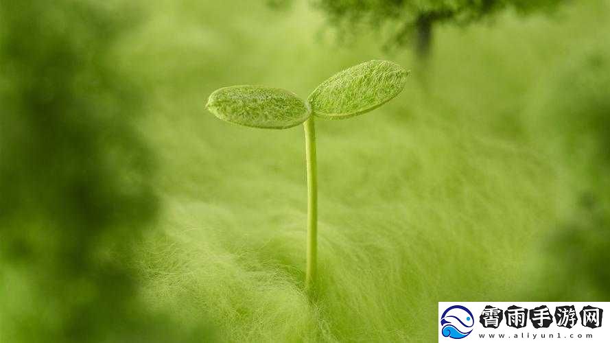 透视壁纸DIY教程：轻松掌握透视壁纸文件下载与制作技巧