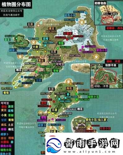 创造与魔法：小蜜蜂蜂箱获取指南