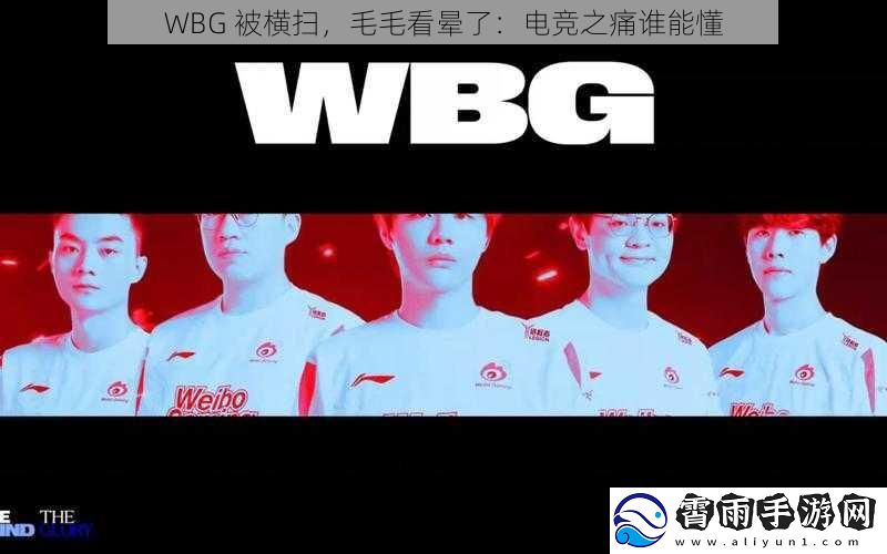 WBG 被横扫，毛毛看晕了：电竞之痛谁能懂