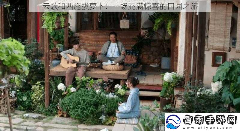云歌和西施拔萝卜：一场充满惊喜的田园之旅