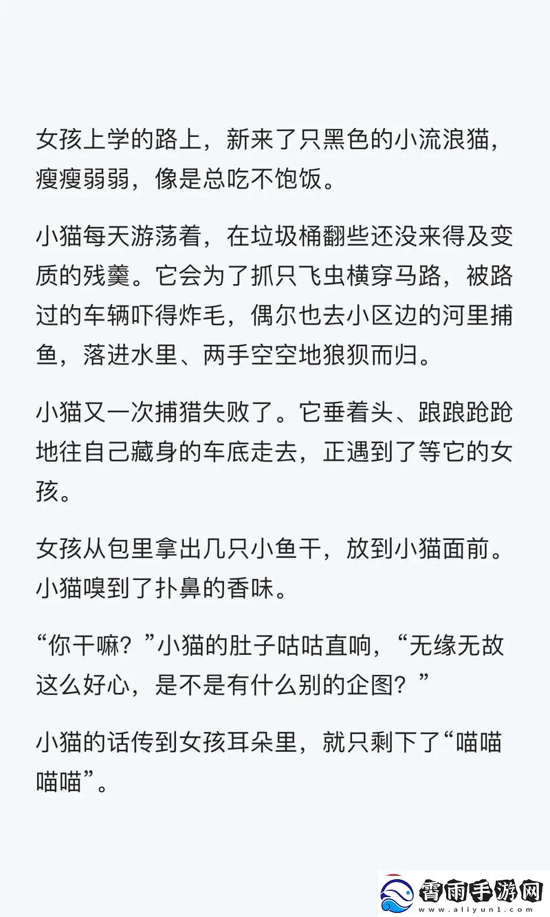 梦话连篇：炖肉幻境夜语趣谈