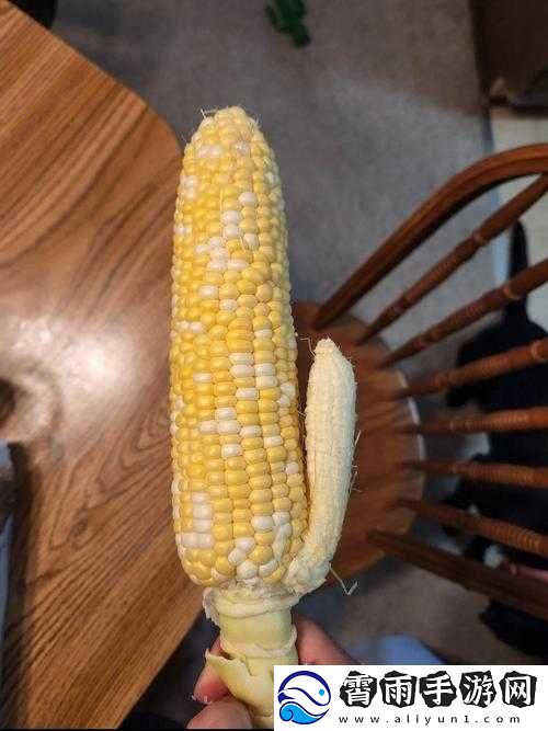 污草莓樱桃丝瓜秋葵榴莲黄瓜白狐