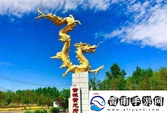 黄龙护卫的独特魅力与关键之处