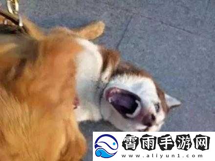 把你摁在地上摩擦怎么回复才合适
