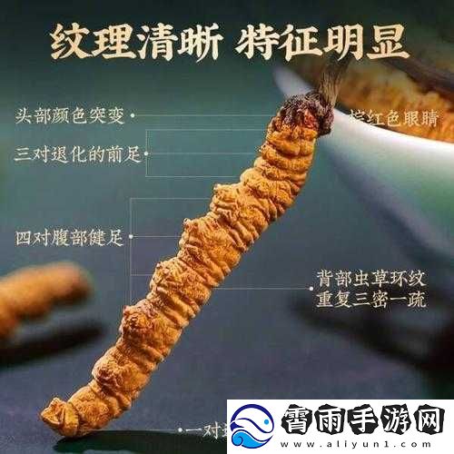 国精产品一二二线精东