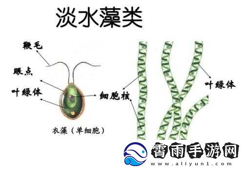 在缺氧环境中