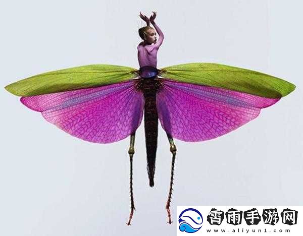 FrXXeeXXee-另类：独特风格的展现