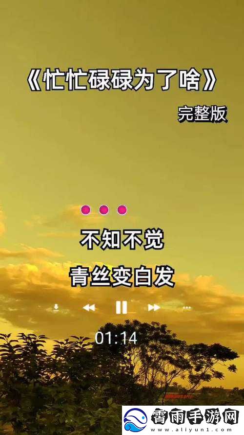 抖音停留之不如安静这首歌旋律动听