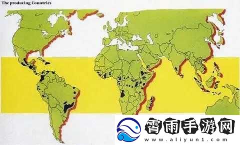迷人一线产区和二线产区的差距原因分析