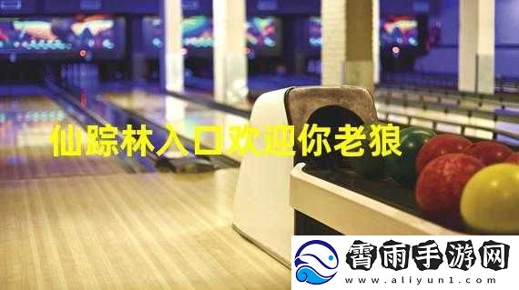 仙踪林老狼站欢迎您拍照：这里等你探索