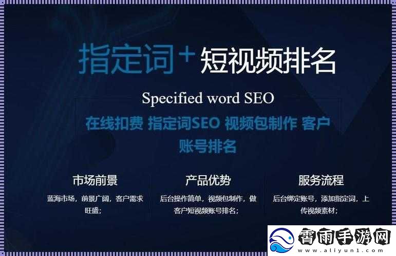 SEO-短视频页入口站推广：流量密码等你来探索