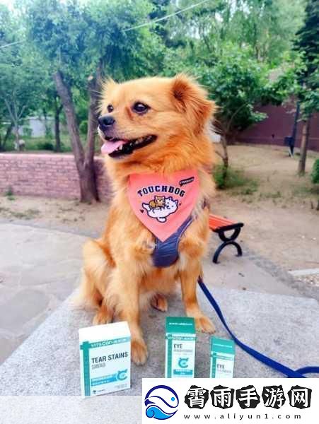 坐在根茎写作业好吗终于重新运营-当然可以！以下是一些新的标题建议：