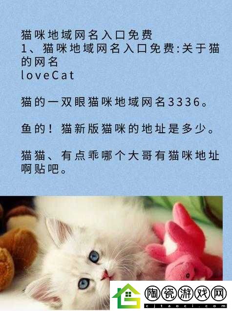慷慨猫咪