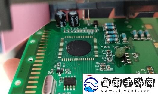 牛屎芯片链接