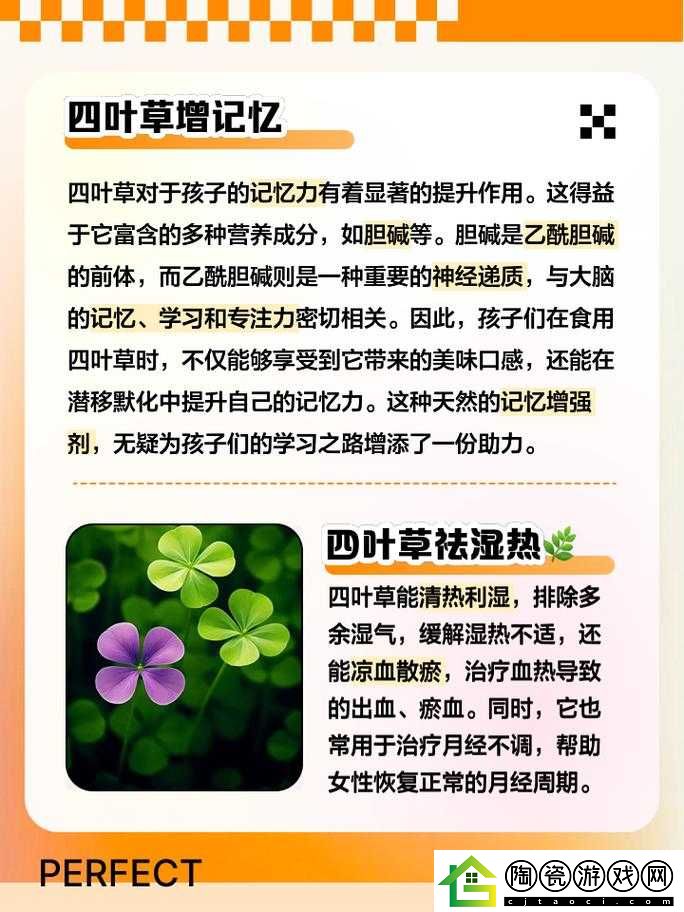 四叶草秘密研究所人口