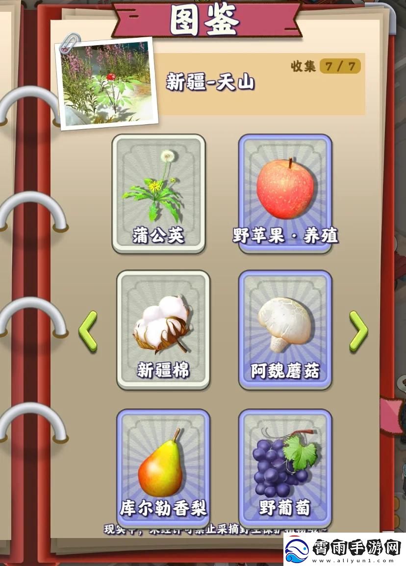 “逗蒜高手”