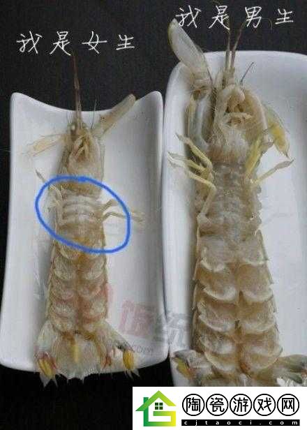 仁王皮皮虾打法解析