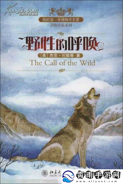野性的青春